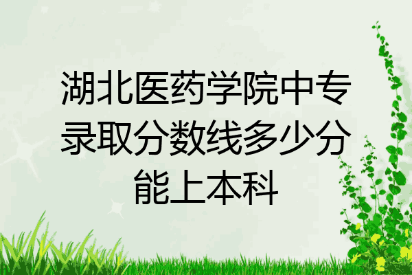 湖北医药学院中专录取分数线多少分能上本科