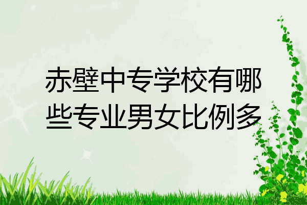 赤壁中专学校有哪些专业男女比例多