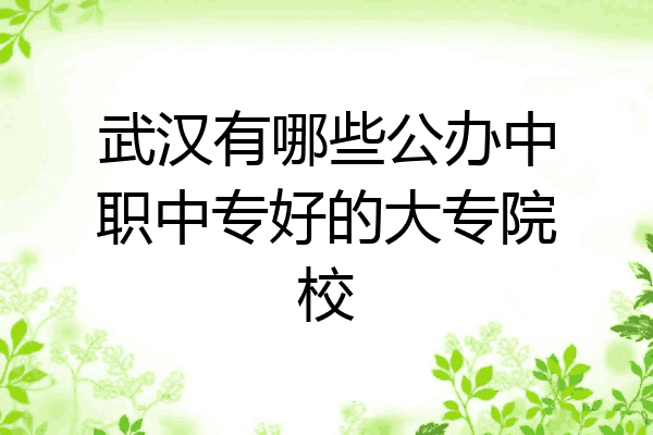 武汉有哪些公办中职中专好的大专院校