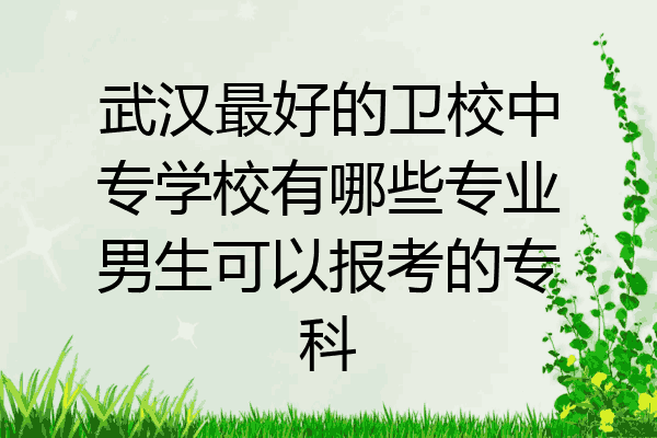 武汉最好的卫校中专学校有哪些专业男生可以报考的专科