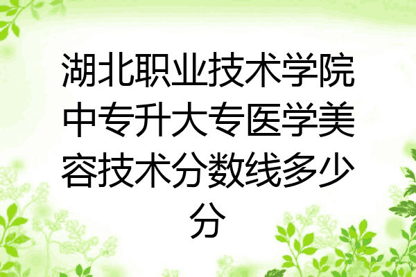 湖北职业技术学院中专升大专医学美容技术分数线多少分