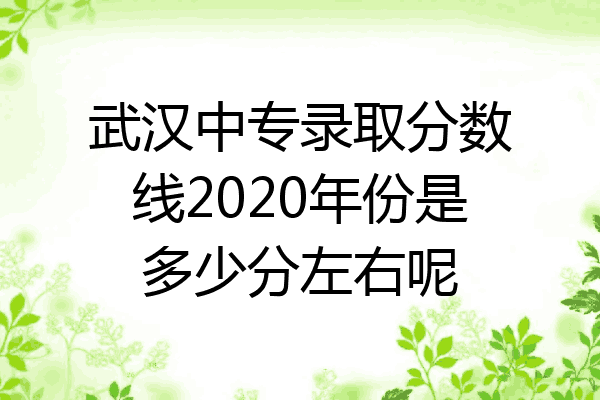 武汉中专录取分数线2020年份是多少分左右呢