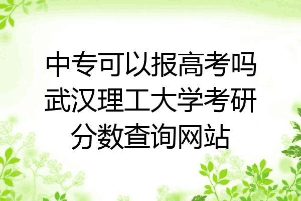 中专可以报高考吗武汉理工大学考研分数查询网站