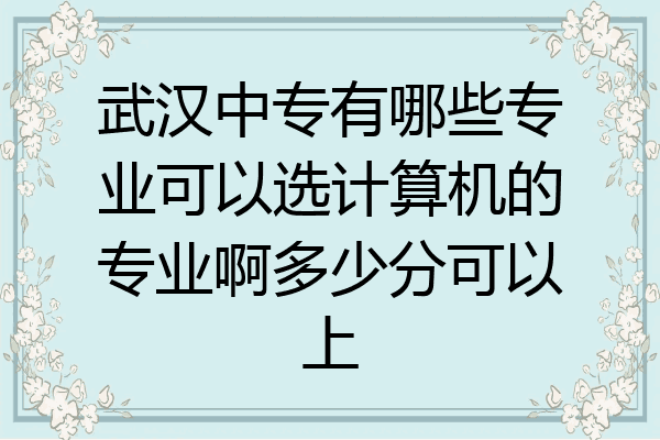 武汉中专有哪些专业可以选计算机的专业啊多少分可以上