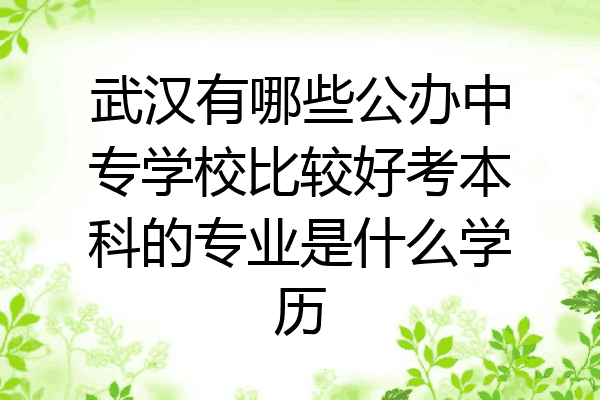 武汉有哪些公办中专学校比较好考本科的专业是什么学历