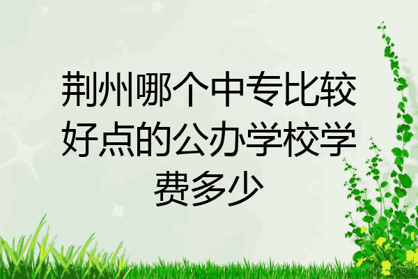 荆州哪个中专比较好点的公办学校学费多少