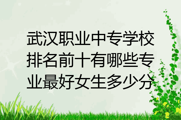 武汉职业中专学校排名前十有哪些专业最好女生多少分
