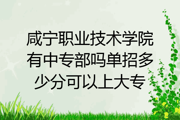 咸宁职业技术学院有中专部吗单招多少分可以上大专