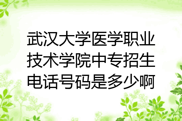 武汉大学医学职业技术学院中专招生电话号码是多少啊