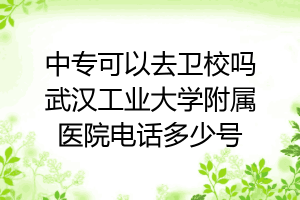 中专可以去卫校吗武汉工业大学附属医院电话多少号