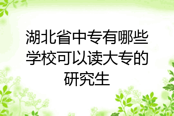 湖北省中专有哪些学校可以读大专的研究生