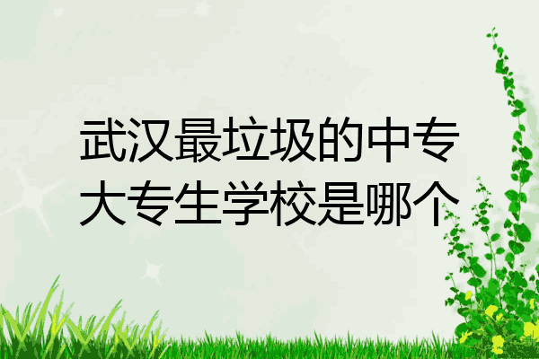 武汉最垃圾的中专大专生学校是哪个