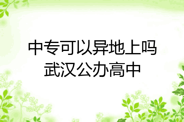 中专可以异地上吗武汉公办高中