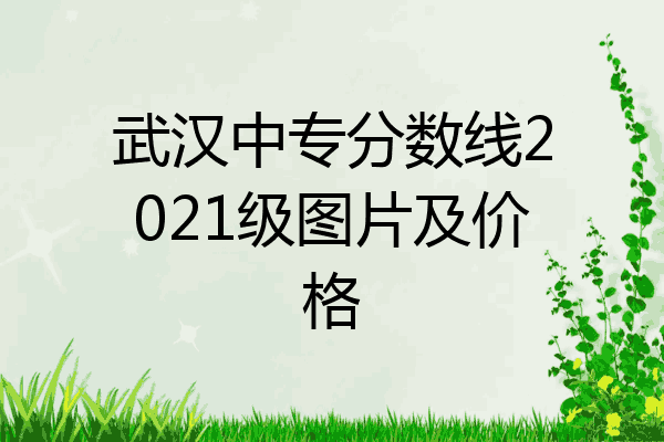 武汉中专分数线2021级图片及价格