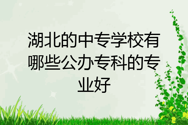 湖北的中专学校有哪些公办专科的专业好