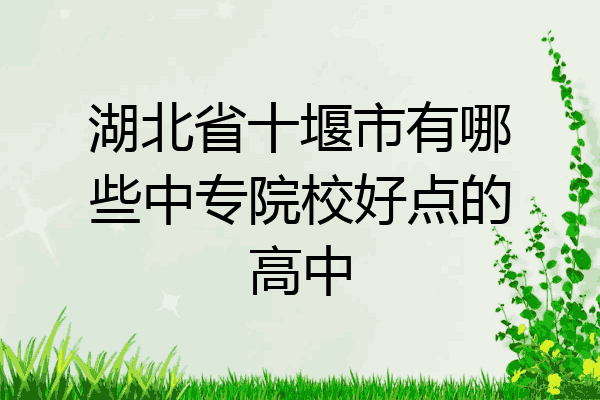 湖北省十堰市有哪些中专院校好点的高中