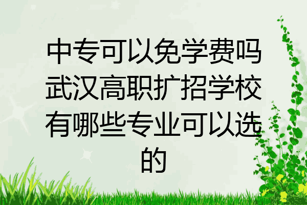 中专可以免学费吗武汉高职扩招学校有哪些专业可以选的