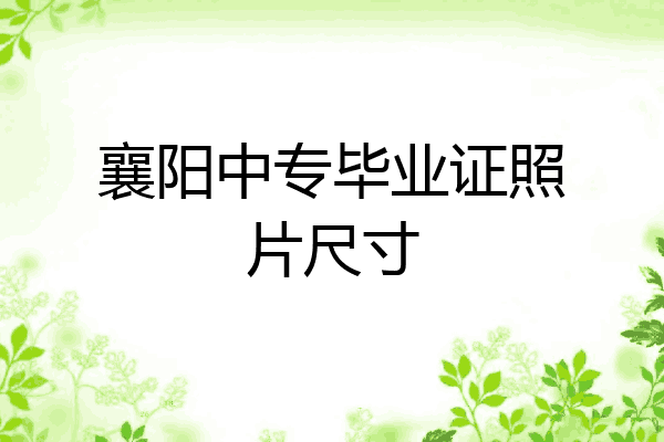 襄阳中专毕业证照片尺寸