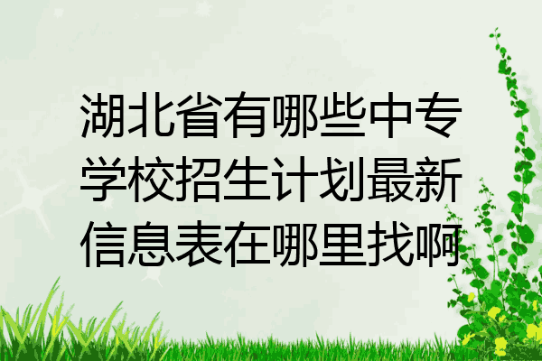 湖北省有哪些中专学校招生计划最新信息表在哪里找啊