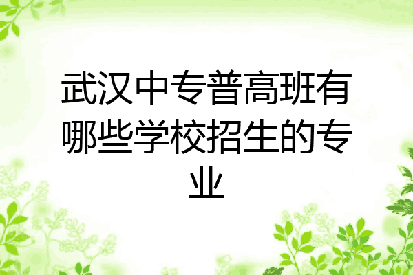 武汉中专普高班有哪些学校招生的专业