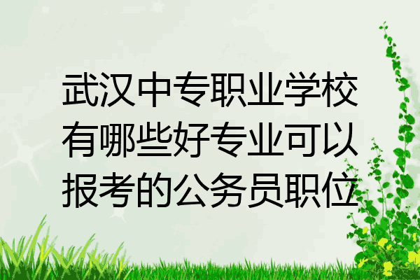 武汉中专职业学校有哪些好专业可以报考的公务员职位