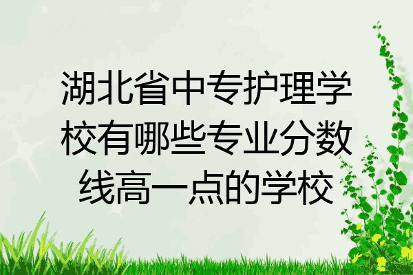 湖北省中专护理学校有哪些专业分数线高一点的学校