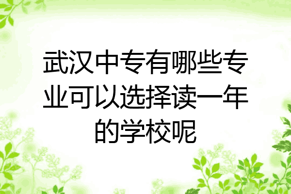 武汉中专有哪些专业可以选择读一年的学校呢