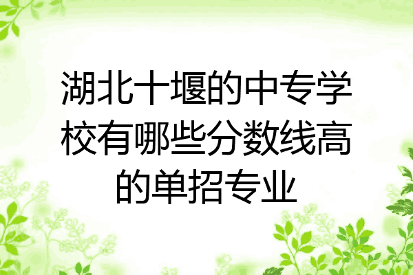 湖北十堰的中专学校有哪些分数线高的单招专业
