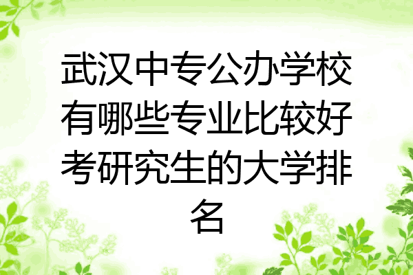 武汉中专公办学校有哪些专业比较好考研究生的大学排名