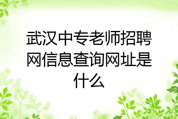 武汉中专老师招聘网信息查询网址是什么