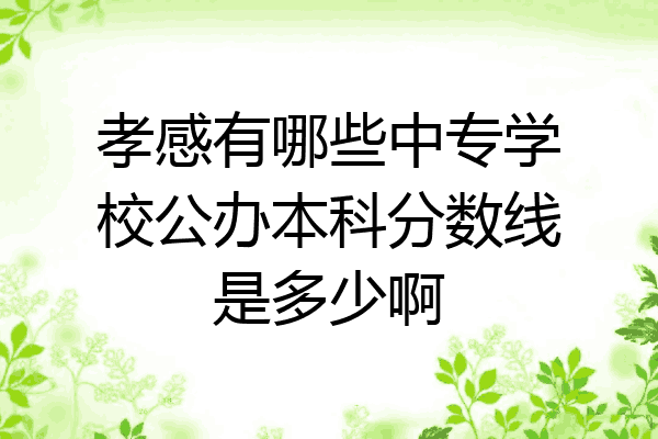 孝感有哪些中专学校公办本科分数线是多少啊