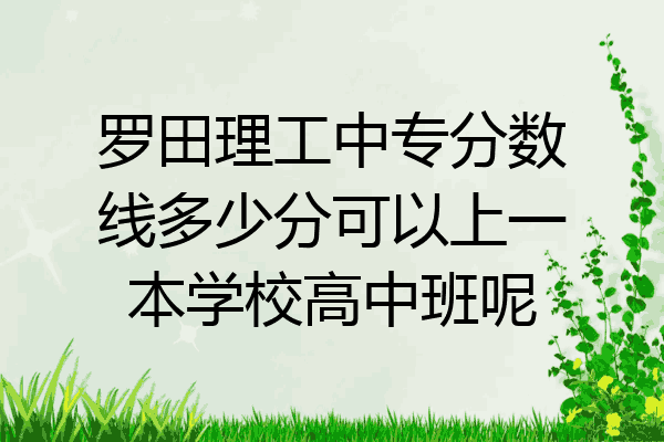 罗田理工中专分数线多少分可以上一本学校高中班呢