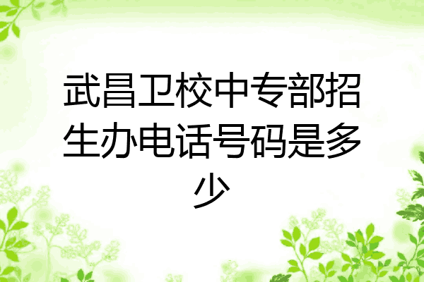 武昌卫校中专部招生办电话号码是多少