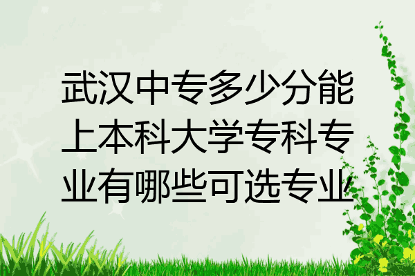 武汉中专多少分能上本科大学专科专业有哪些可选专业