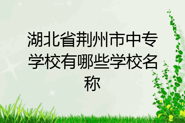 湖北省荆州市中专学校有哪些学校名称