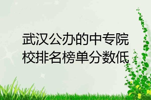 武汉公办的中专院校排名榜单分数低