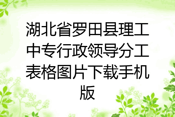 湖北省罗田县理工中专行政领导分工表格图片下载手机版