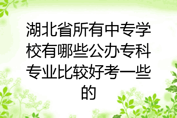 湖北省所有中专学校有哪些公办专科专业比较好考一些的