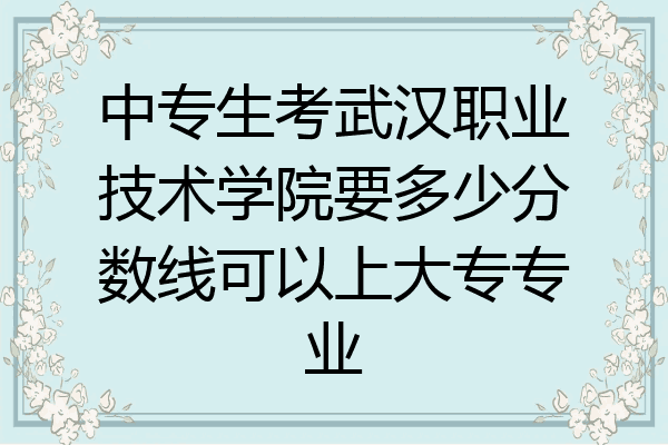 中专生考武汉职业技术学院要多少分数线可以上大专专业