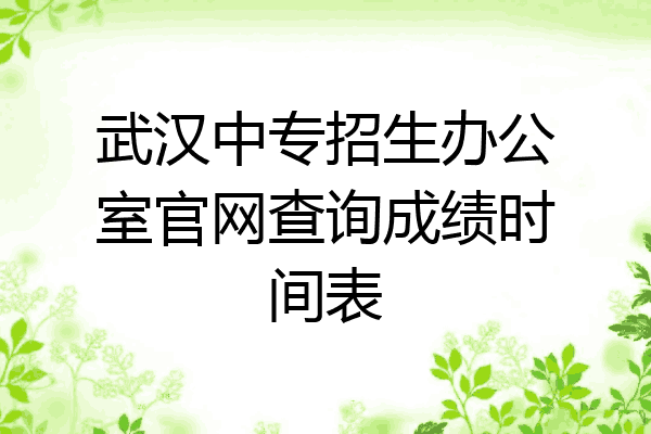 武汉中专招生办公室官网查询成绩时间表