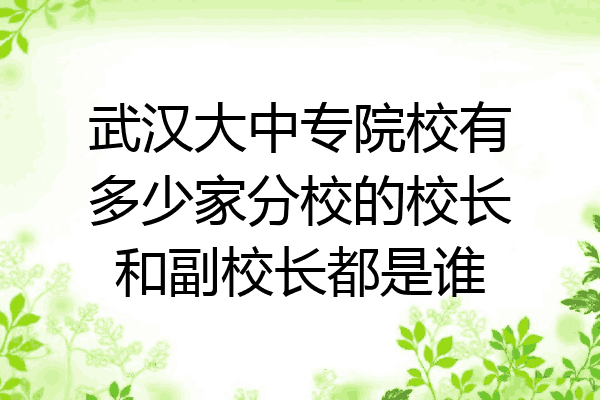 武汉大中专院校有多少家分校的校长和副校长都是谁