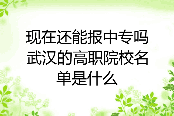现在还能报中专吗武汉的高职院校名单是什么