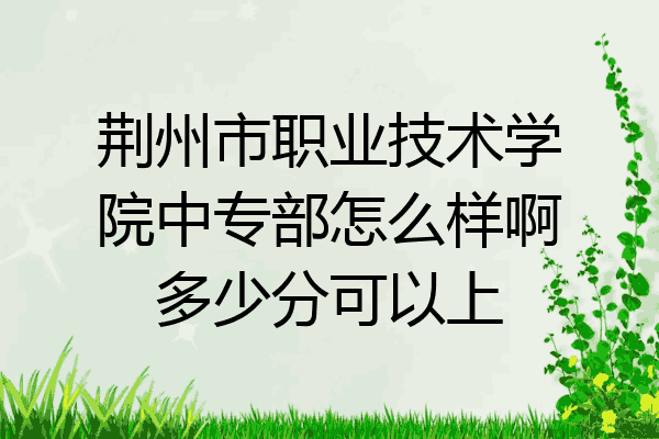 荆州市职业技术学院中专部怎么样啊多少分可以上