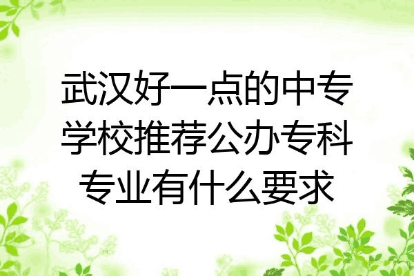 武汉好一点的中专学校推荐公办专科专业有什么要求