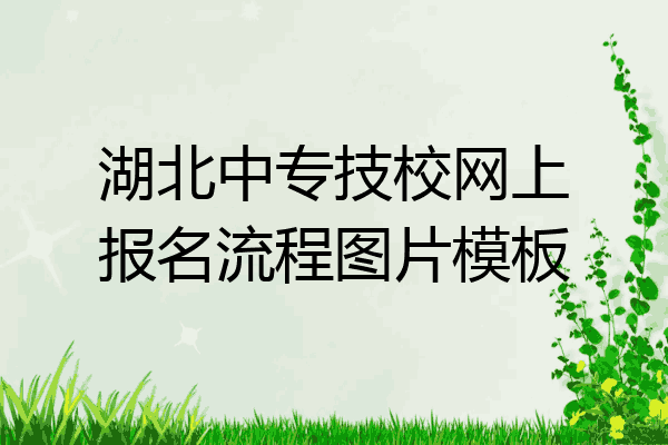 湖北中专技校网上报名流程图片模板