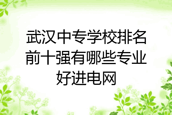 武汉中专学校排名前十强有哪些专业好进电网