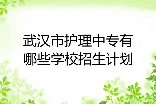 武汉市护理中专有哪些学校招生计划