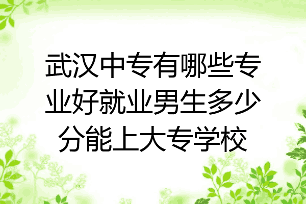 武汉中专有哪些专业好就业男生多少分能上大专学校