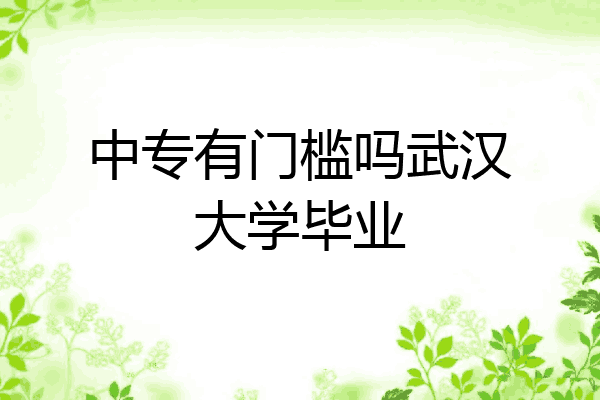 中专有门槛吗武汉大学毕业