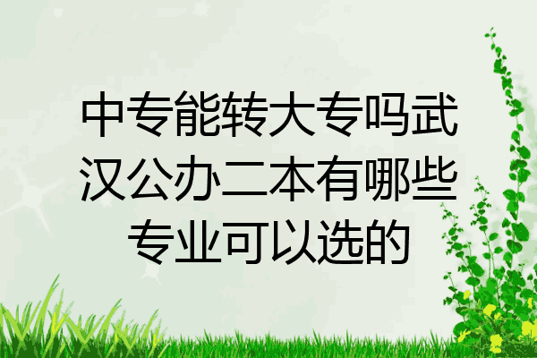中专能转大专吗武汉公办二本有哪些专业可以选的